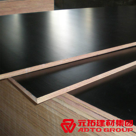 河北建筑木模板多少錢一張？河北木模板價格表？